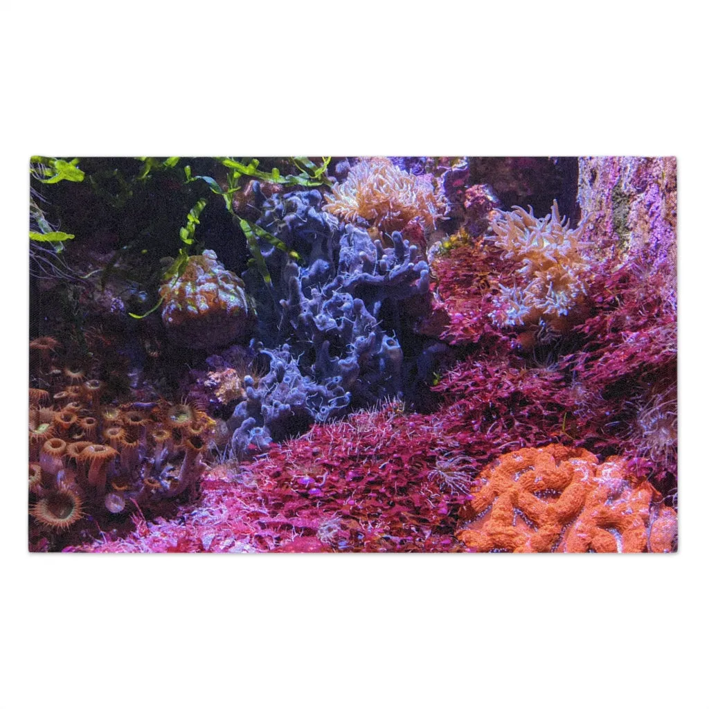 Aquarium Rally Towel, 11x18