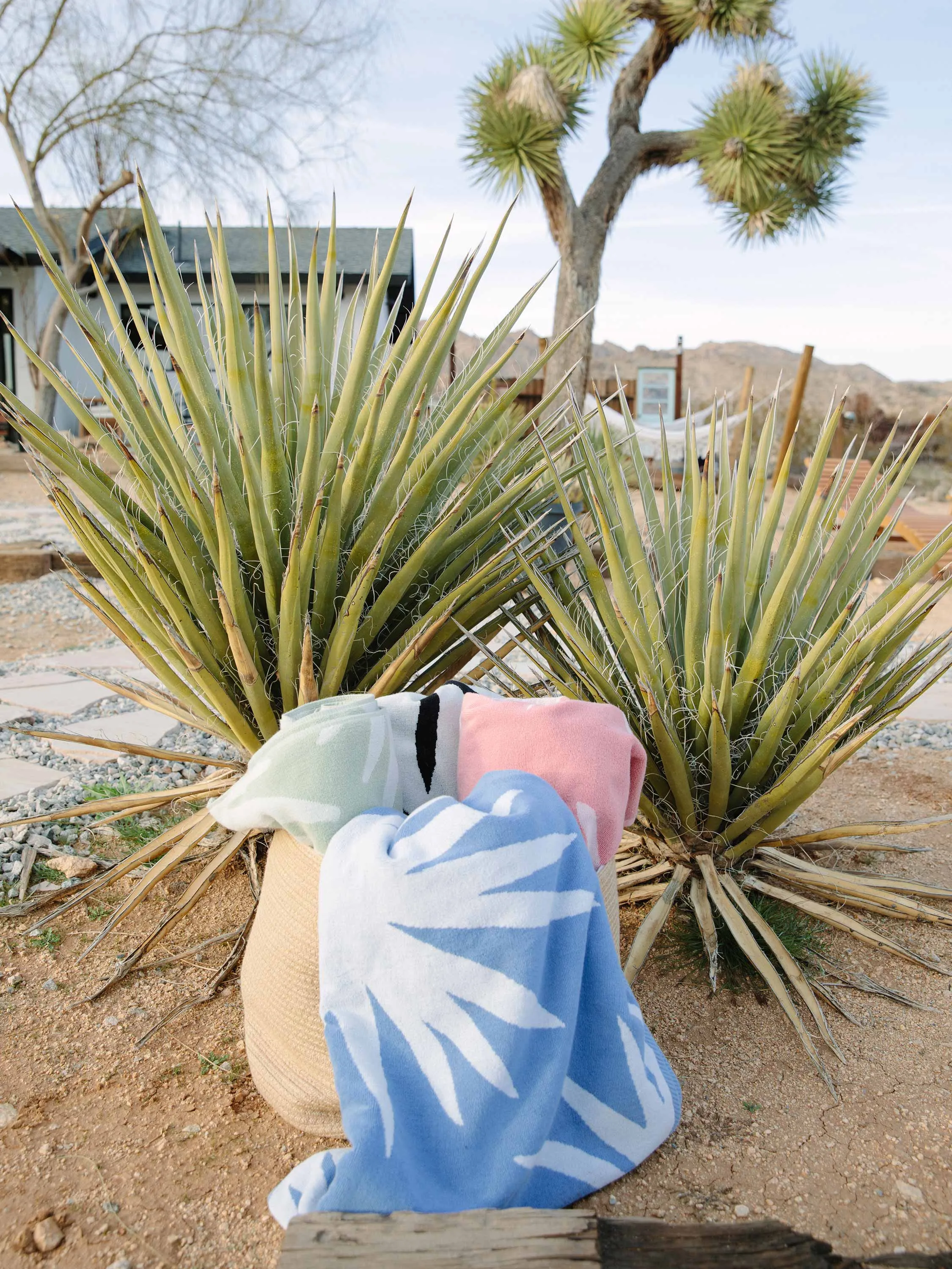 Blue Agave Cabana Beach Towel